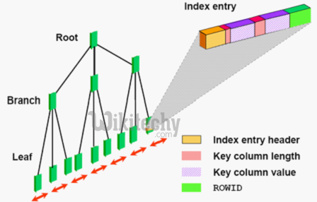 Neo4j index